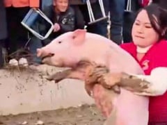 Đọc nhanh bài viết 1024744