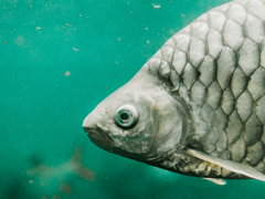 Đọc nhanh bài viết 1024757