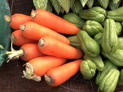 Đọc nhanh bài viết 1024765