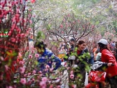 Đọc nhanh bài viết 1024926