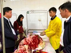 Đọc nhanh bài viết 1024950