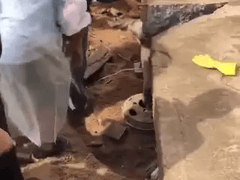 Đọc nhanh bài viết 1025012