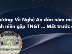 Đọc nhanh bài viết 1025023