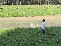 Đọc nhanh bài viết 1025221