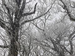 Đọc nhanh bài viết 1025413