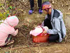 Đọc nhanh bài viết 1025470