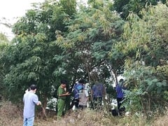 Đọc nhanh bài viết 1025474