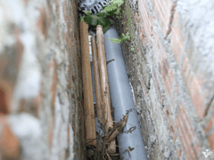 Đọc nhanh bài viết 1025564