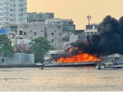 Đọc nhanh bài viết 1025574