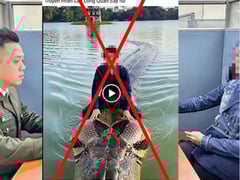 Đọc nhanh bài viết 1025694