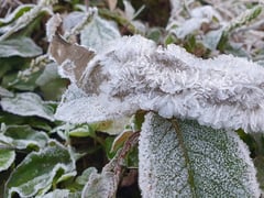 Đọc nhanh bài viết 1025786