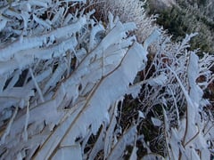 Đọc nhanh bài viết 1025871