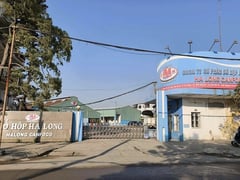 Đọc nhanh bài viết 1025906