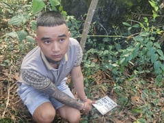 Đọc nhanh bài viết 1025936