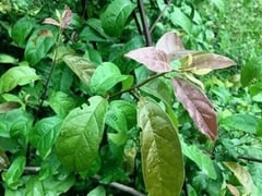 Đọc nhanh bài viết 1025972