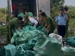 Đọc nhanh bài viết 1026373