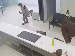 Đọc nhanh bài viết 1026384