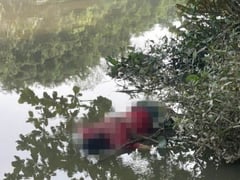 Đọc nhanh bài viết 1026610