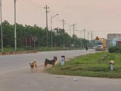 Đọc nhanh bài viết 1026663