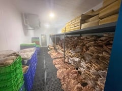 Đọc nhanh bài viết 1026674