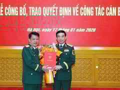 Đọc nhanh bài viết 1026707
