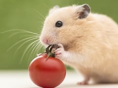 Đọc nhanh bài viết 1026773