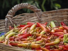 Đọc nhanh bài viết 1026780