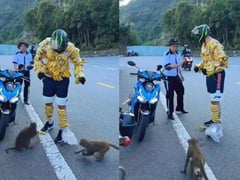 Đọc nhanh bài viết 1026802