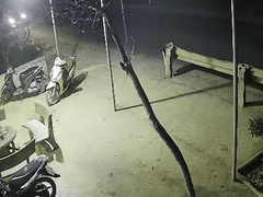 Đọc nhanh bài viết 1026950