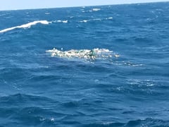 Đọc nhanh bài viết 1027035