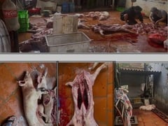 Đọc nhanh bài viết 1027196