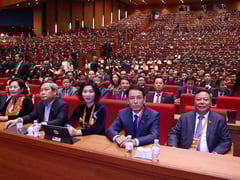 Đọc nhanh bài viết 1027208