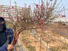 Đọc nhanh bài viết 1027215