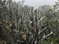 Đọc nhanh bài viết 1027254