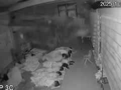 Đọc nhanh bài viết 1027277