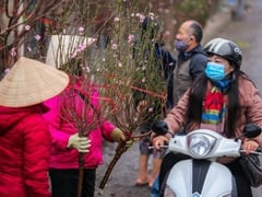 Đọc nhanh bài viết 1027365