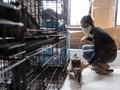 Đọc nhanh bài viết 1027366