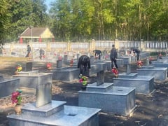 Đọc nhanh bài viết 1027382