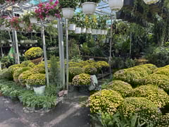 Đọc nhanh bài viết 1027606