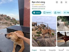 Đọc nhanh bài viết 1027671