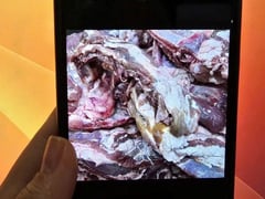 Đọc nhanh bài viết 1027682