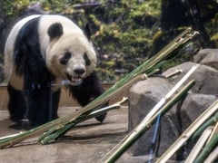 Đọc nhanh bài viết 1027692