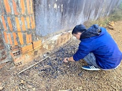 Đọc nhanh bài viết 1027728