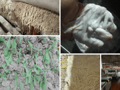 Đọc nhanh bài viết 1027731