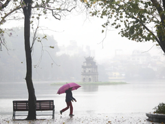 Đọc nhanh bài viết 1027748