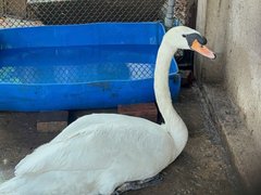 Đọc nhanh bài viết 1027794