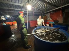 Đọc nhanh bài viết 1027801