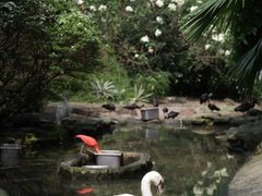 Đọc nhanh bài viết 1027877