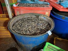 Đọc nhanh bài viết 1027893