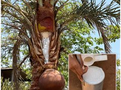 Đọc nhanh bài viết 1027902